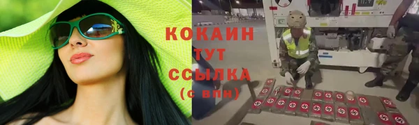 сатива Вязьма