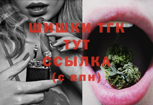 скорость Вяземский