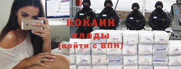 сатива Вязьма
